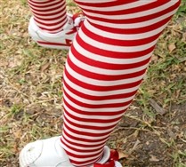 Plus Sized White Striped Tights