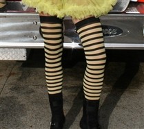 Colorful Black Striped Thigh Highs