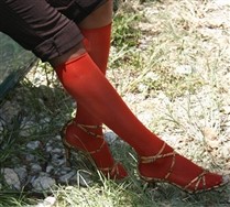 Solid Color  Knee Highs and Hosiery