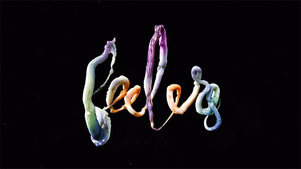 feelers-AriWeinkle-0