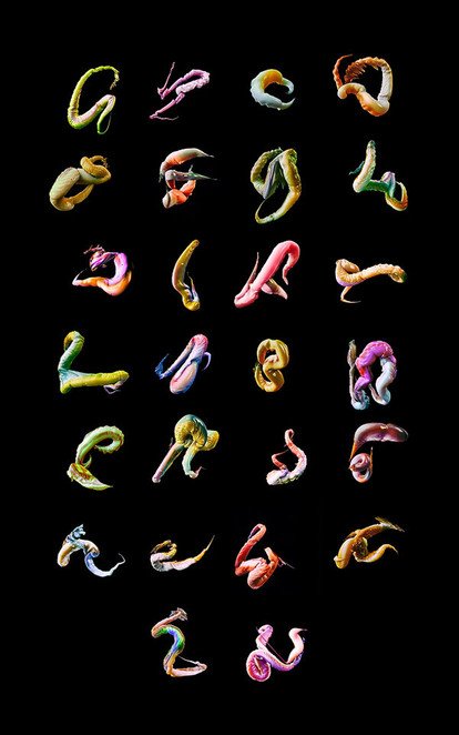 feelers-AriWeinkle-2