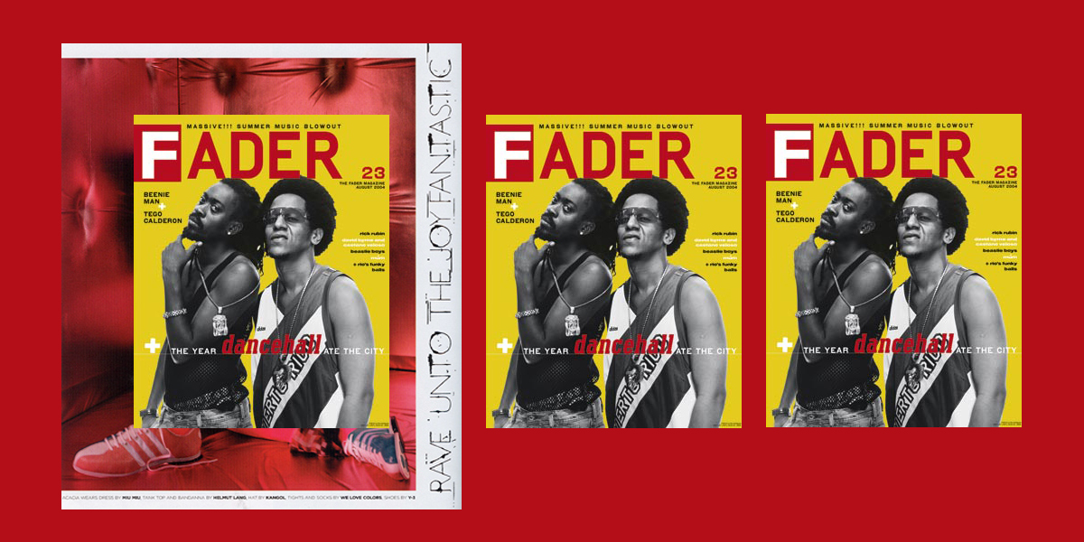 Fader cover - Issue 23