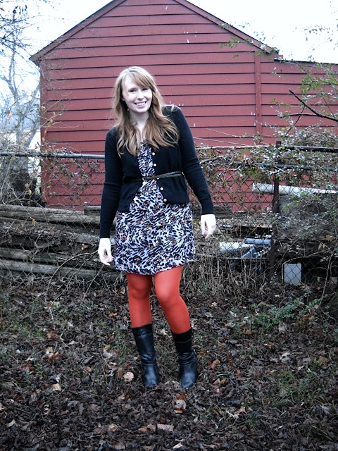 Alysoneyeofthetiger2