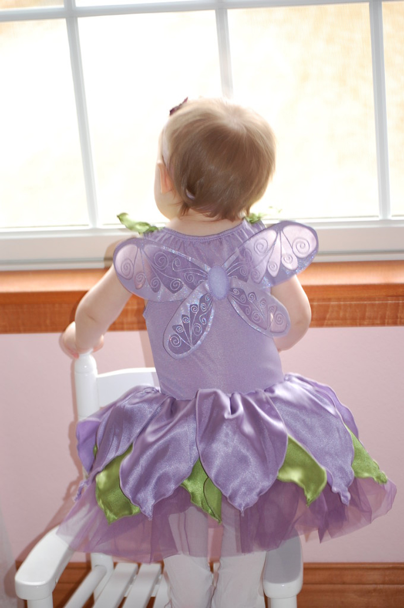 The Fairy Princess April 2014
