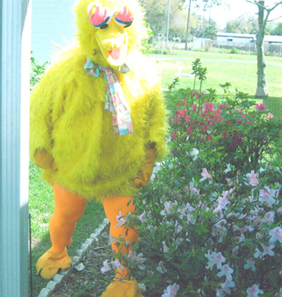 Big Bird Customer1 March2008