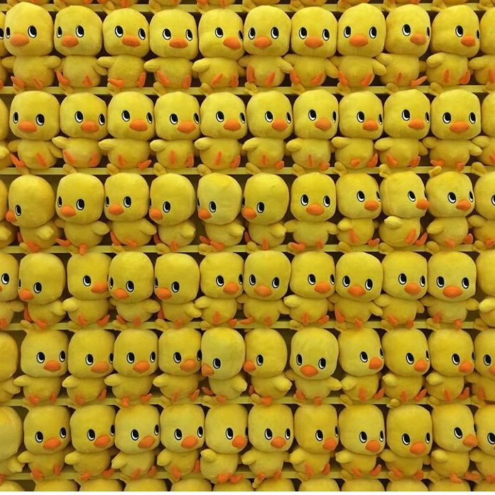 130 likes 2 comments