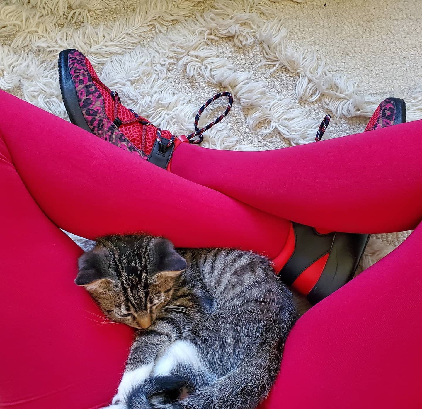 438 likes 11 comments