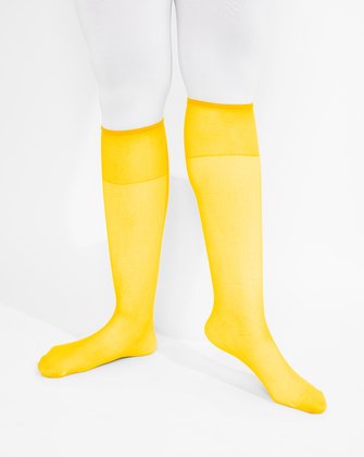 Gold Womens Knee Highs | We Love Colors