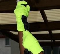 Colorful Solid Color Nylon Gloves