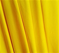 Fabric (Shiny Tricot)